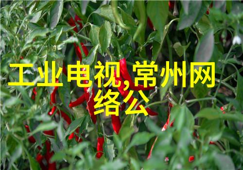岑婉言陆祁州陆祁州岑婉言小说全文免费阅读_岑婉言陆祁州陆祁州岑婉言最新章节列表笔趣阁