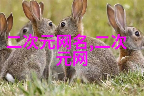等不到冰雪尽融全文免费阅读无弹窗大结局-季沉苏凉小说在哪里可以看