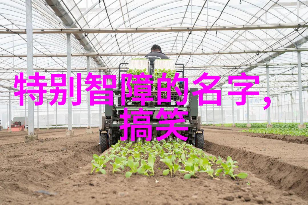 浪漫风格的网名男生设计43个