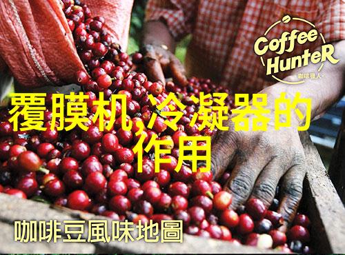 许唯谢时闻全文免费阅读无弹窗大结局_许唯谢时闻最新章节列表笔趣阁