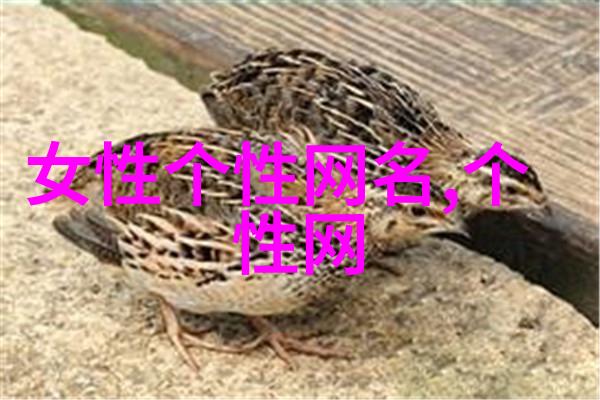 非主流群名字葬爱网名精选100个