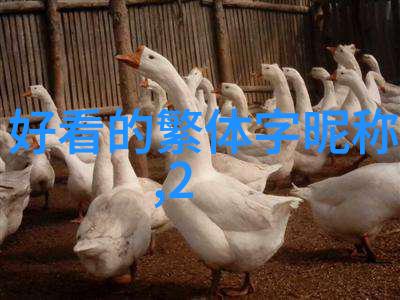 卖女孩的小火柴_繁体字QQ网名