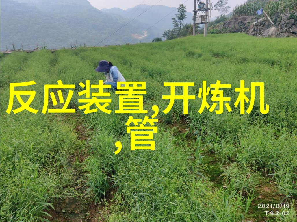 宋纾念周淮聿宋纾念周淮聿全文免费阅读无弹窗大结局_宋纾念周淮聿免费试读阅读全文无弹窗