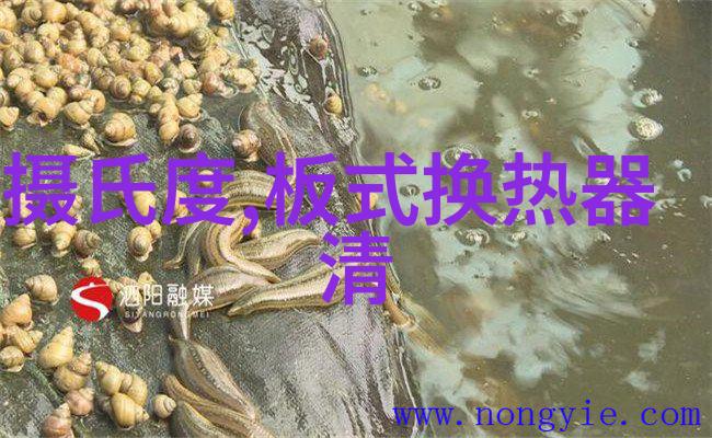 公孙陌嬴政小说忧来思君不相忘全文免费读无弹窗大结局_公孙陌嬴政小说免费阅读-笔趣阁忧来思君不相忘